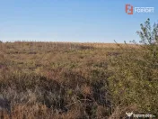 Teren extravilan de 3500 mp de vanzare in Remetea Mare
