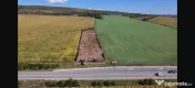 Teren de închiriat 31 ari, la ieșirea din Suceava spre Pătrăuți 