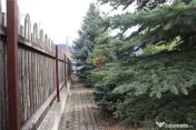 Constructii si teren intravilan18.000 mp 