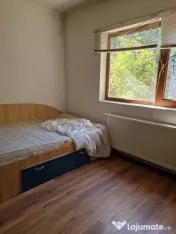Afumati Casa 4 camere parter la sosea teren 800 mp ideal afacere 