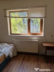 Afumati Casa 4 camere parter la sosea teren 800 mp ideal afacere 