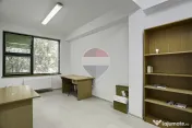 Spații de birouri în zona Gradiste 