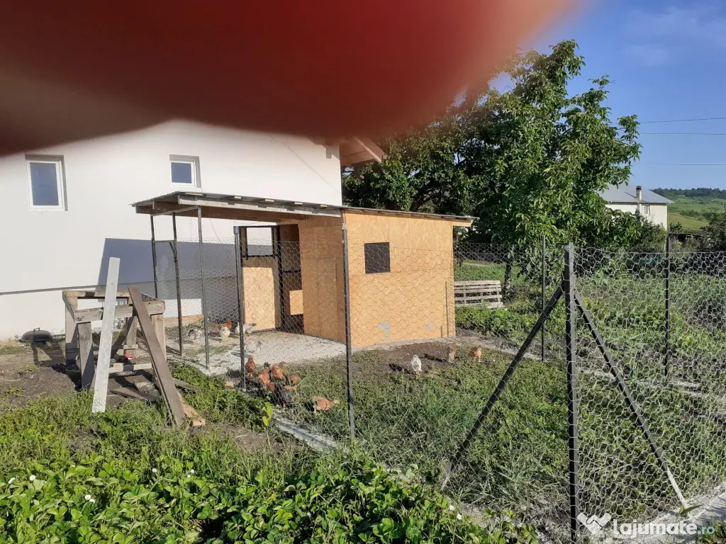 Vand casa satul Stânca, comuna Comarna, județul Iași