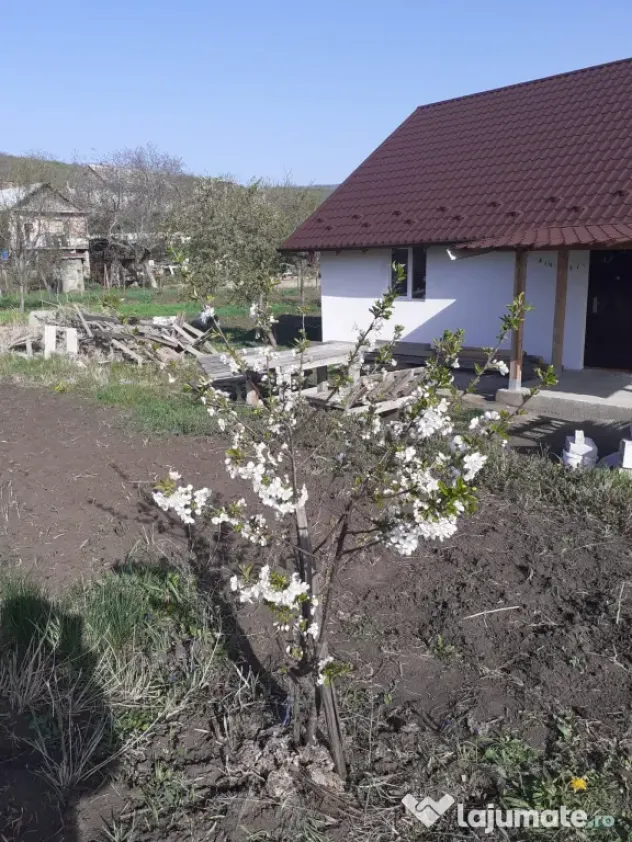 Vand casa satul Stânca, comuna Comarna, județul Iași