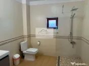 Vila spatioasa de inchiriat in Gruia 