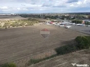 Teren 60,000mp Pecica / Strada 240 