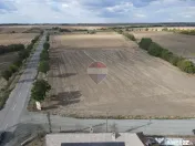 Teren 60,000mp Pecica / Strada 240 
