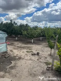 Vand casa cu teren in comuna Jilavele judet Ialomita 