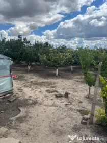 Vand casa cu teren in comuna Jilavele judet Ialomita