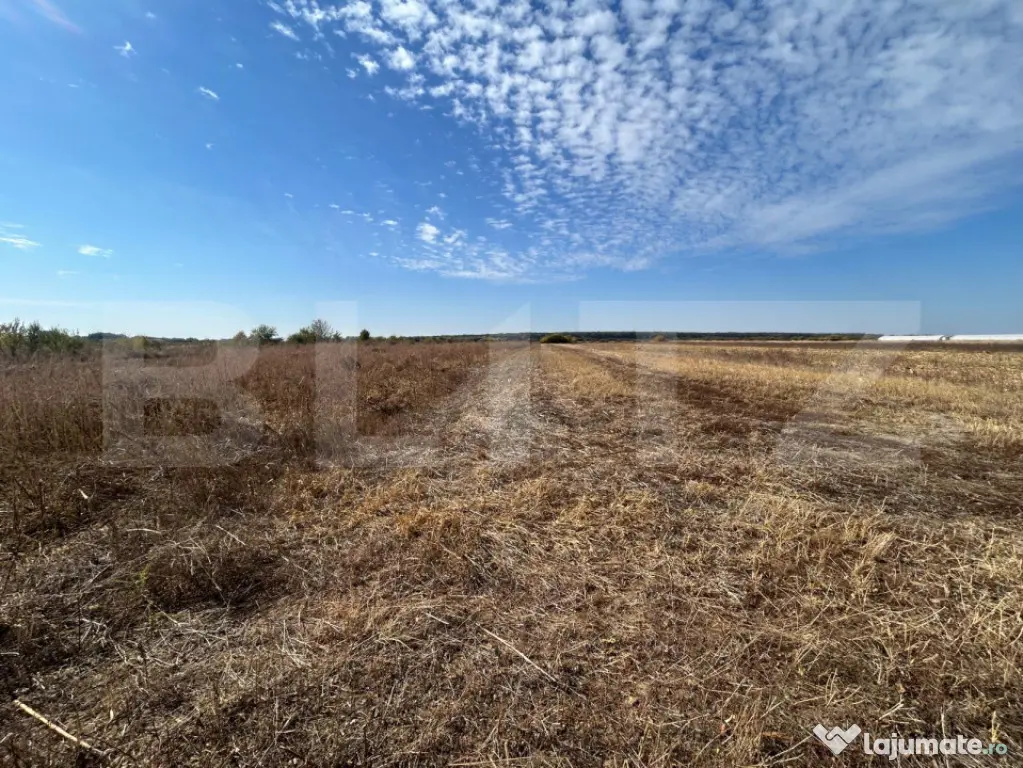 TEREN | EXTRAVILAN | RACOVITA | 3600 MP | - Targoviste (Dambovita)