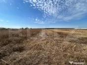 TEREN | EXTRAVILAN | RACOVITA | 3600 MP |