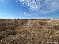 TEREN | EXTRAVILAN | RACOVITA | 3600 MP | 