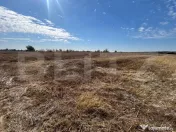 TEREN | EXTRAVILAN | RACOVITA | 3600 MP |