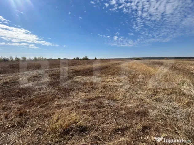 TEREN | EXTRAVILAN | RACOVITA | 3600 MP | - Targoviste (Dambovita)