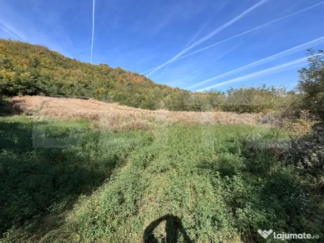 Teren Intravilan, 1000 mp, zona Est - Doicesti (Dambovita)
