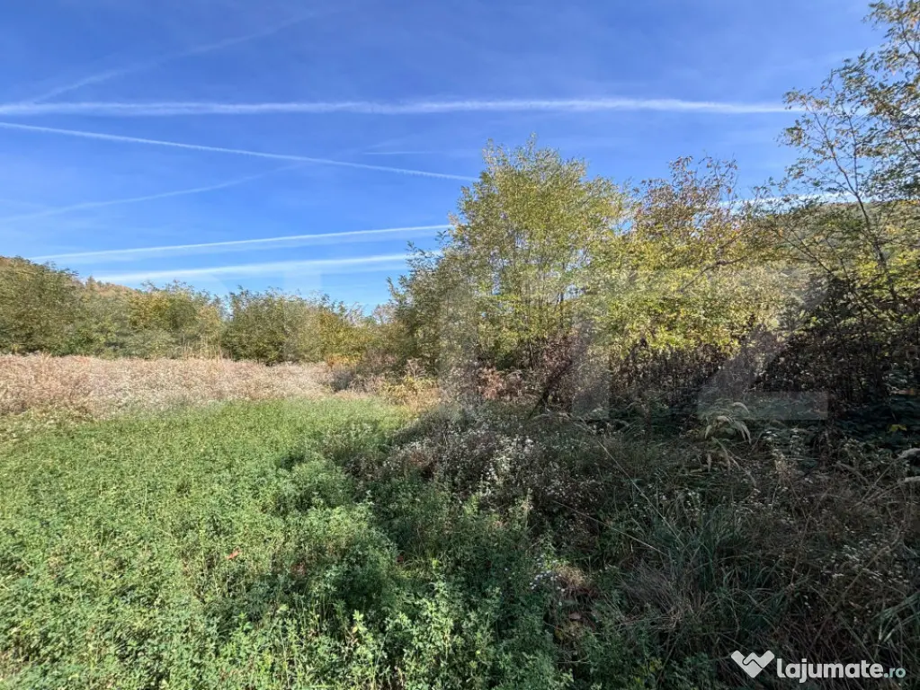 Teren Intravilan, 1000 mp, zona Est - Doicesti (Dambovita)