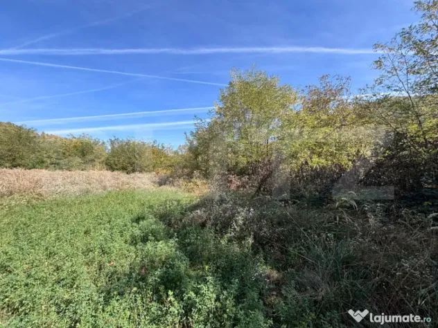 Teren Intravilan, 1000 mp, zona Est - Doicesti (Dambovita)