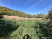Teren Intravilan in Doicesti 1000 m