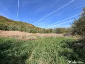Teren Intravilan in Doicesti 1000 m