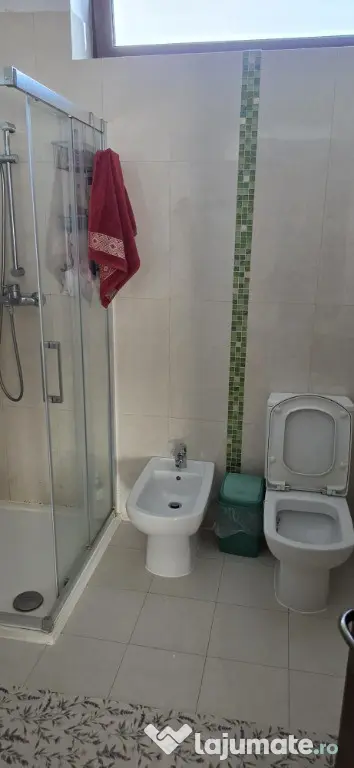 Casa deosebita P+E+M zona Trandafirilor - Botosani (Botosani)