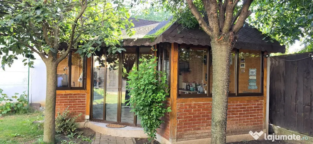 Casa deosebita P+E+M zona Trandafirilor - Botosani (Botosani)