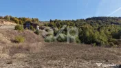 Teren intravilan de 994 mp cu autorizație de construire – 