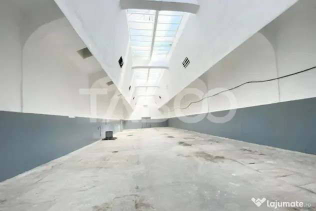 Hala industriala 300mpu cu supraveghere video si paza 24/7 C - Cisnadie (Sibiu)