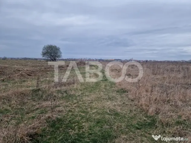 Teren intravilan 1500 mp zona Campsor cartierul Strand - Sibiu (Sibiu)
