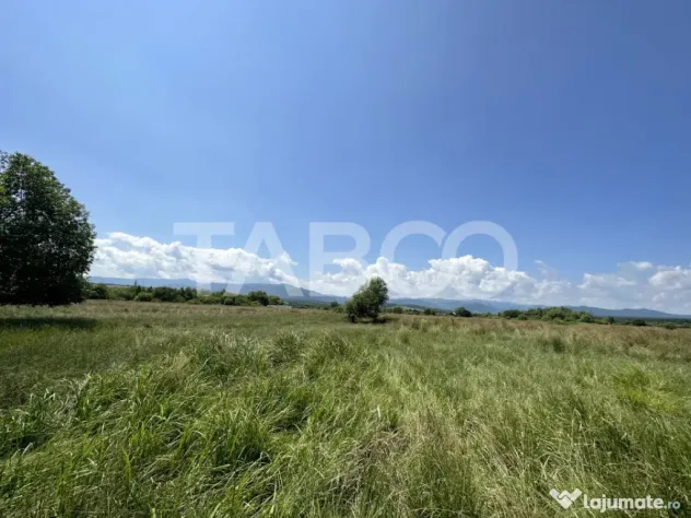 Teren intravilan 5000 mp zona Turnisor din Sibiu - Sibiu (Sibiu)