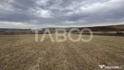 OPORTUNITATE INVESTITIE Teren de vanzare Sura Mare 24000 mp