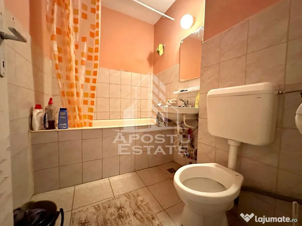 Apartament cu 2 camere de vanzare, lift, zona Centrala, Timisoara - Timisoara (Timis)