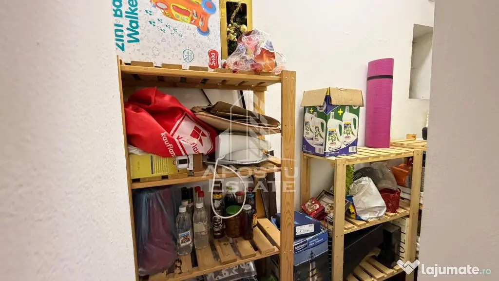 Apartament cu 3 camere de vanzare in cladire istorica, Timisoara - Timisoara (Timis)