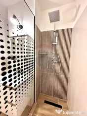 Apartament cu o camera de inchiriat, Aviatiei/ Caramfil 