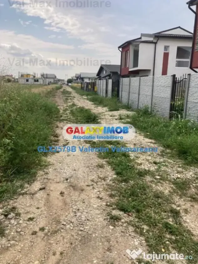 Teren Intravilan Berceni Dv024 - Berceni (Bucuresti-Ilfov)