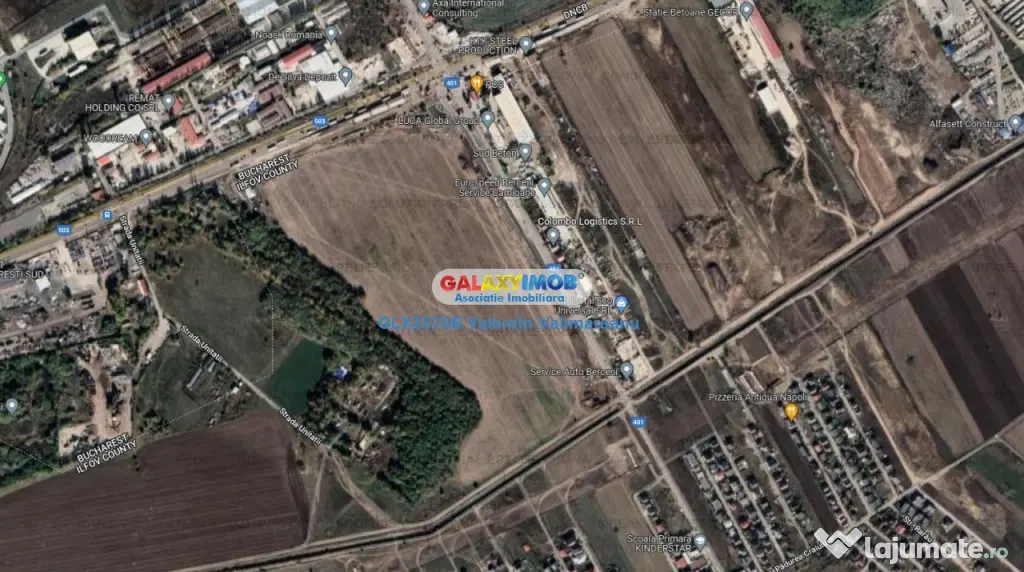 Teren Intravilan Berceni Dv024 - Berceni (Bucuresti-Ilfov)