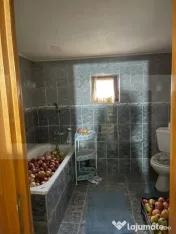 Casă cu teren și anexe de vânzare în Dorohoi – Progres 