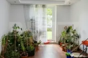 Inchiriere apartament parter cu terasa 55mp pretabil pentru 