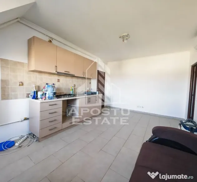 Apartament cu 3 camere, de vanzare, centrala proprie, zona Lipovei - Timisoara (Timis)