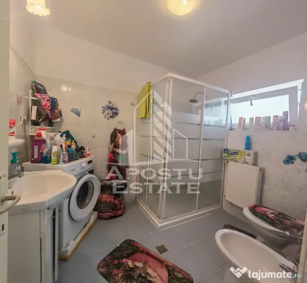 Casa individuala de vanzare, renovata, Sag, Timis - Sag (Timis)