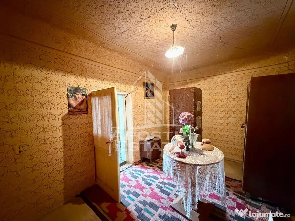 Casa individuala de vanzare, teren 1750 mp, Zona: Sanandrei - Sanandrei (Timis)