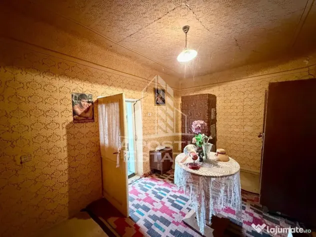 Casa individuala de vanzare, teren 1750 mp, Zona: Sanandrei - Sanandrei (Timis)