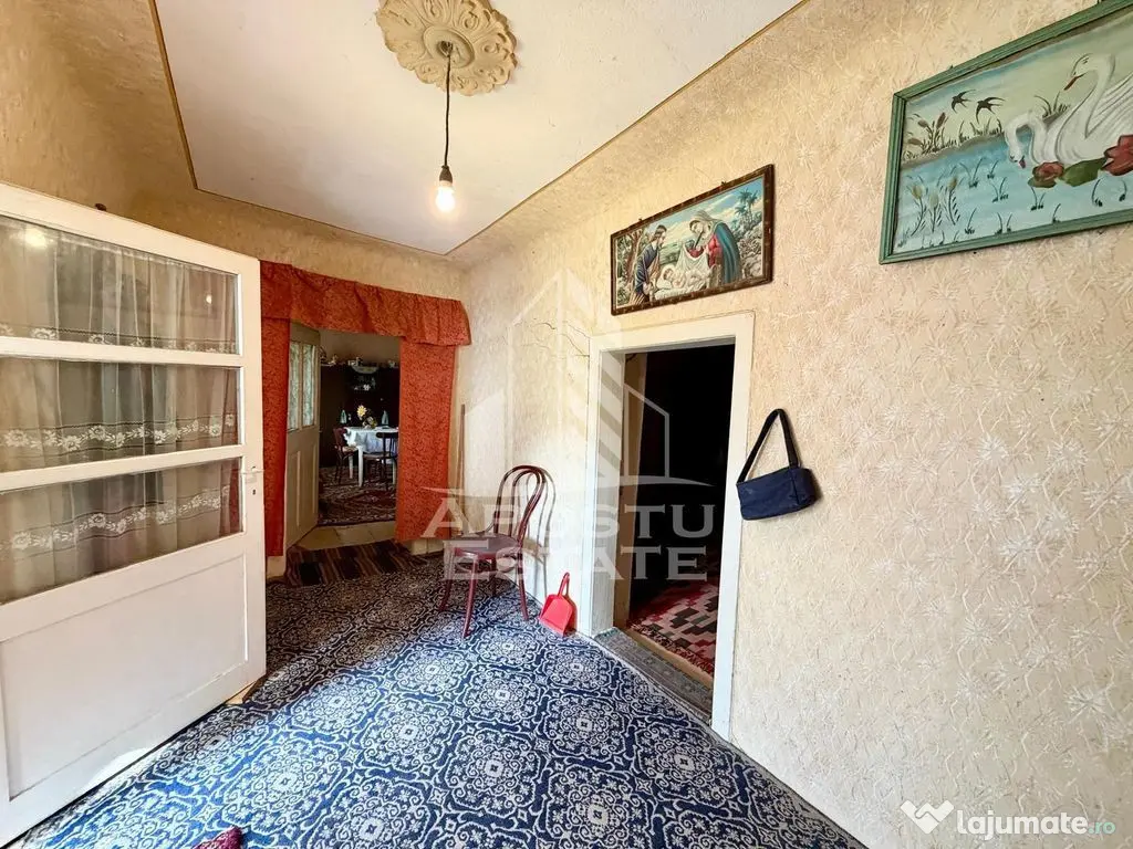 Casa individuala de vanzare, teren 1750 mp, Zona: Sanandrei - Sanandrei (Timis)