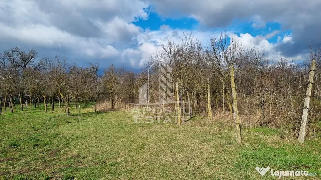 Casa individuala de vanzare, teren 1750 mp, Zona: Sanandrei - Sanandrei (Timis)