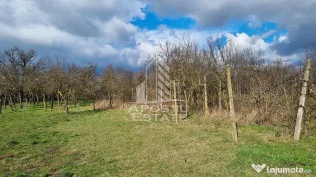 Casa individuala de vanzare, teren 1750 mp, Zona: Sanandrei - Sanandrei (Timis)