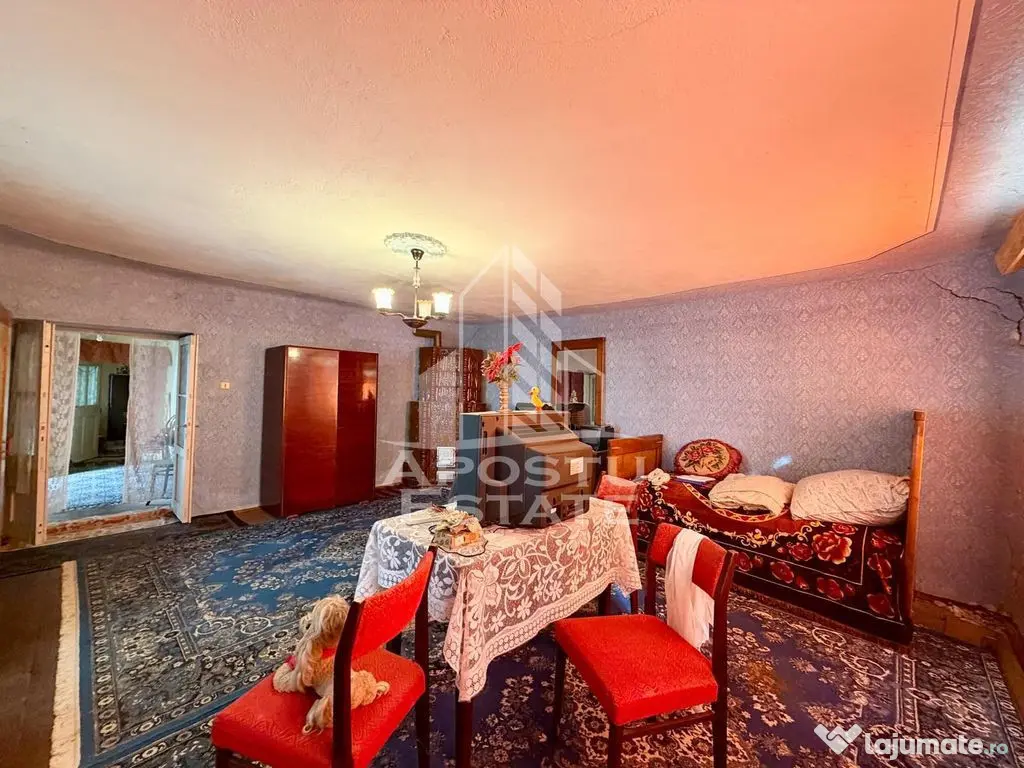 Casa individuala de vanzare, teren 1750 mp, Zona: Sanandrei - Sanandrei (Timis)