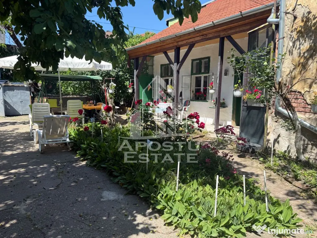 Două case de vânzare în aceeași curte zona Maria - Timisoara (Timis)