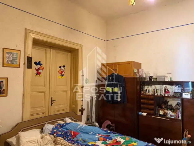 Două case de vânzare în aceeași curte zona Maria - Timisoara (Timis)
