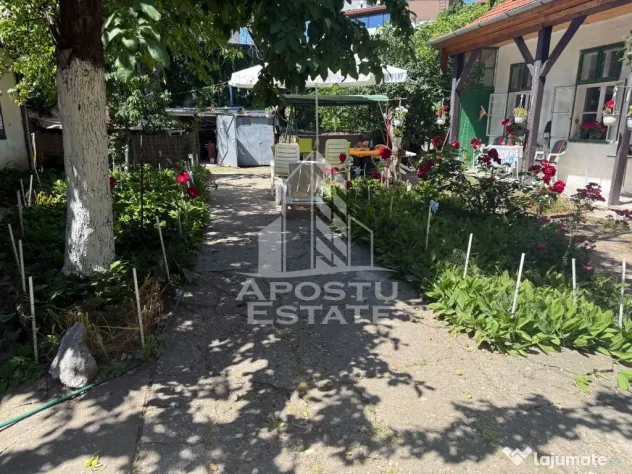 Două case de vânzare în aceeași curte zona Maria - Timisoara (Timis)