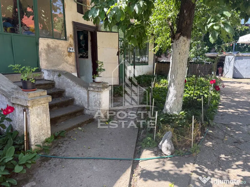 Două case de vânzare în aceeași curte zona Maria - Timisoara (Timis)