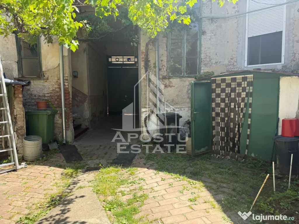 Două case de vânzare în aceeași curte zona Maria - Timisoara (Timis)